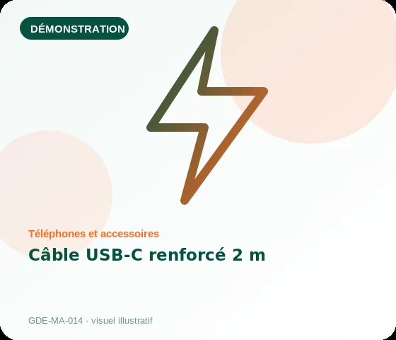 [Démo] Câble USB-C renforcé 2 m