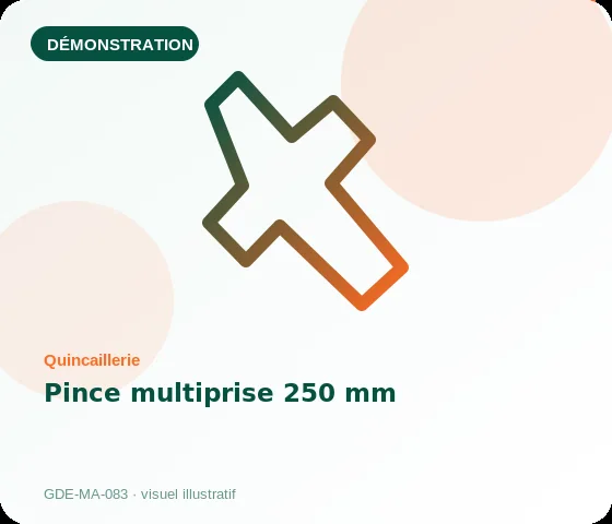 [Démo] Pince multiprise 250 mm